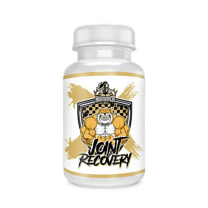 Joint Recovery 90 caps